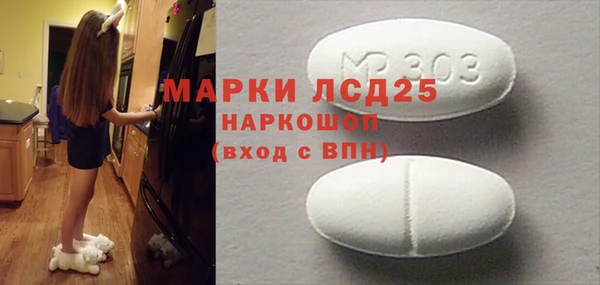 прущие грибы Балахна