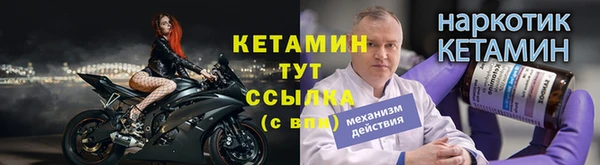 прущие грибы Балахна