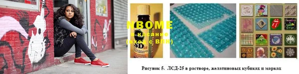 прущие грибы Балахна