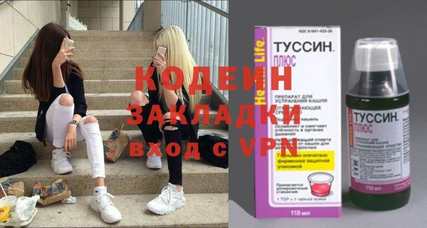 прущие грибы Балахна